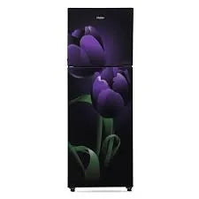 HAIER 258 LTR DOUBLE DOOR HRF-2784PTG - E 3 STAR  TROPICAL GREEN