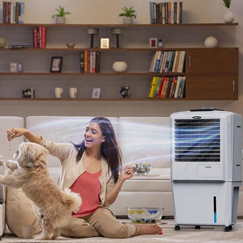 SYMPHONY 27LTR PERSONAL TYPE AIRCOOLER